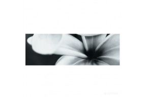 FLOWER BLACK COMPOSITION декор3 75x75