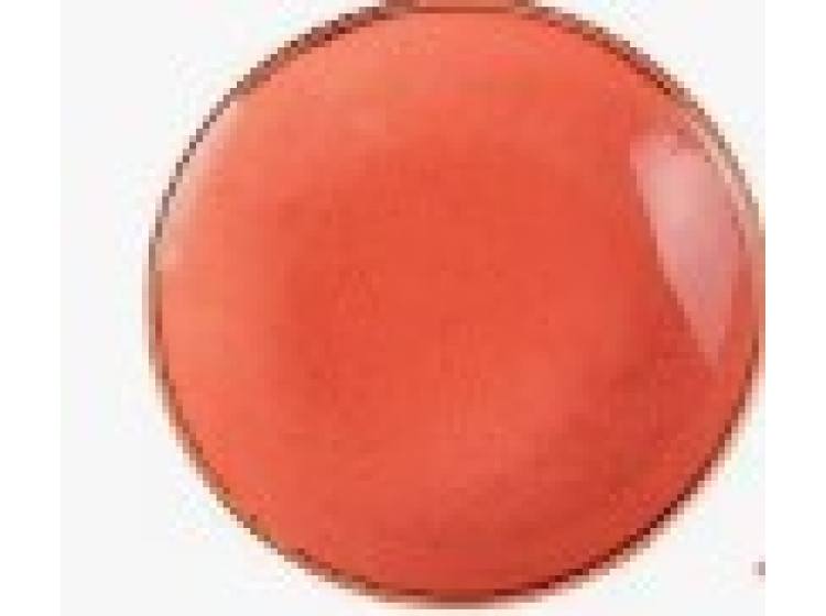 SSOSEVP81 Тарілка Orange Coupe 21.7cm - зображення 1